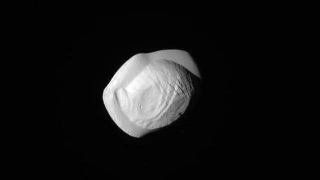 הירח פאן (צילום: NASA/JPL-Caltech/Space Science Institute) (צילום: NASA/JPL-Caltech/Space Science Institute)