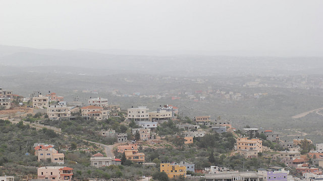 קציר באזור ואדי ערה (צילום: שמיר אלבז) (צילום: שמיר אלבז)