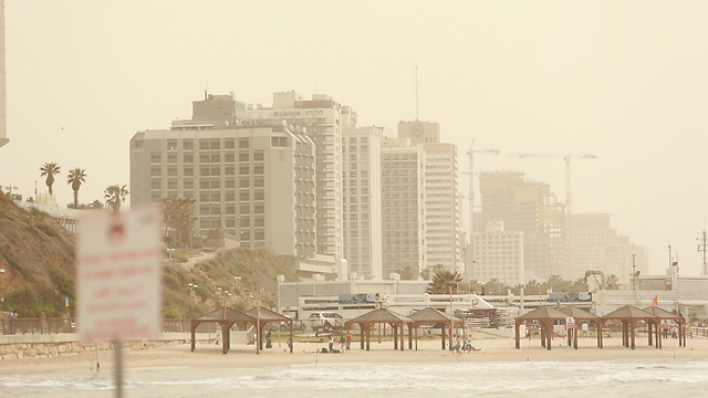 חוף תל אביב (צילום: ירון ברנר) (צילום: ירון ברנר)