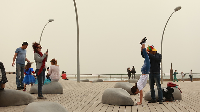 לא רואים שמיים בנמל תל אביב  (צילום: ירון ברנר) (צילום: ירון ברנר)
