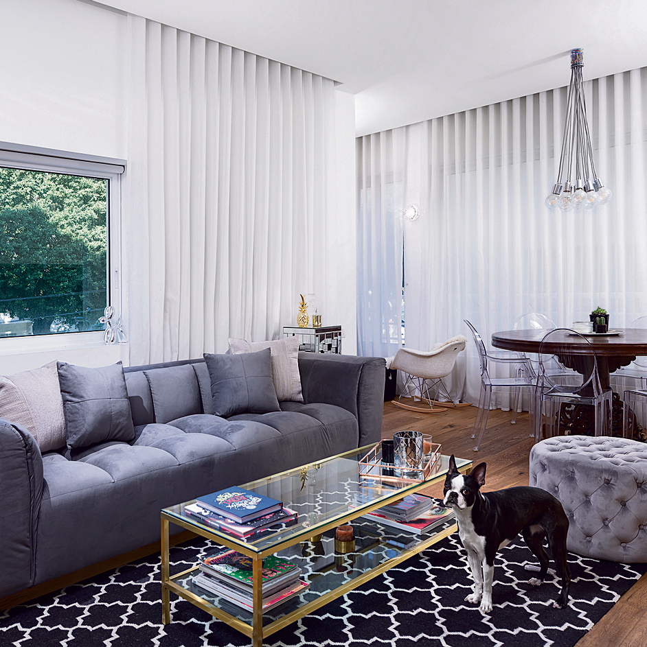 הסלון עם הספה החדשה והשטיח שמתאים לצבעים של ליצ'י הכלבה