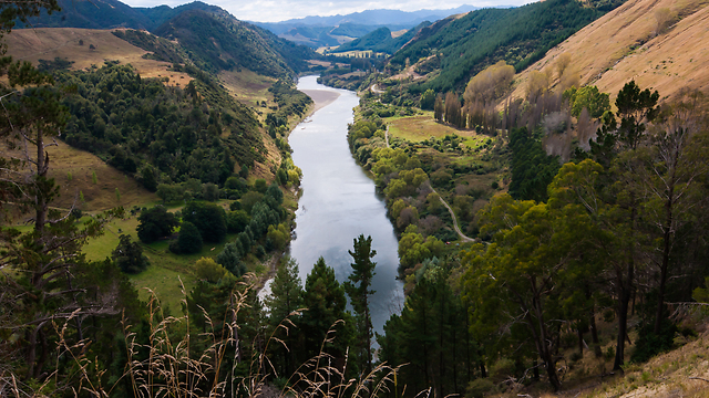 נהר וואנגנוי בניו זילנד (צילום: shutterstock) (צילום: shutterstock)