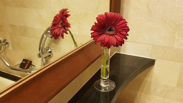 Red flowers with more positive connotations (Photo: Amit Cotler)
