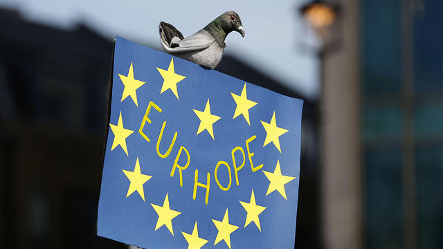 התקווה האירופית. בהפגנה בלונדון (צילום: AFP) (צילום: AFP)