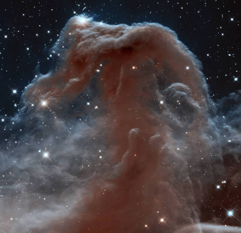 ערפילית ראש הסוס באורכי גל שצולמו בטלסקופי החלל האבל ושפיצר (צילום: נאס"א)