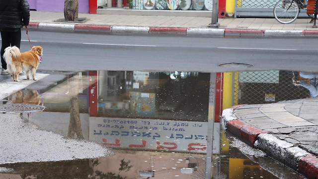 גשם בתל אביב (צילום: מוטי קמחי) (צילום: מוטי קמחי)