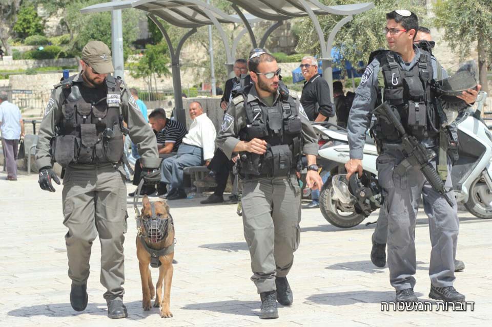 фото: пресс-служба Полиции Израиля