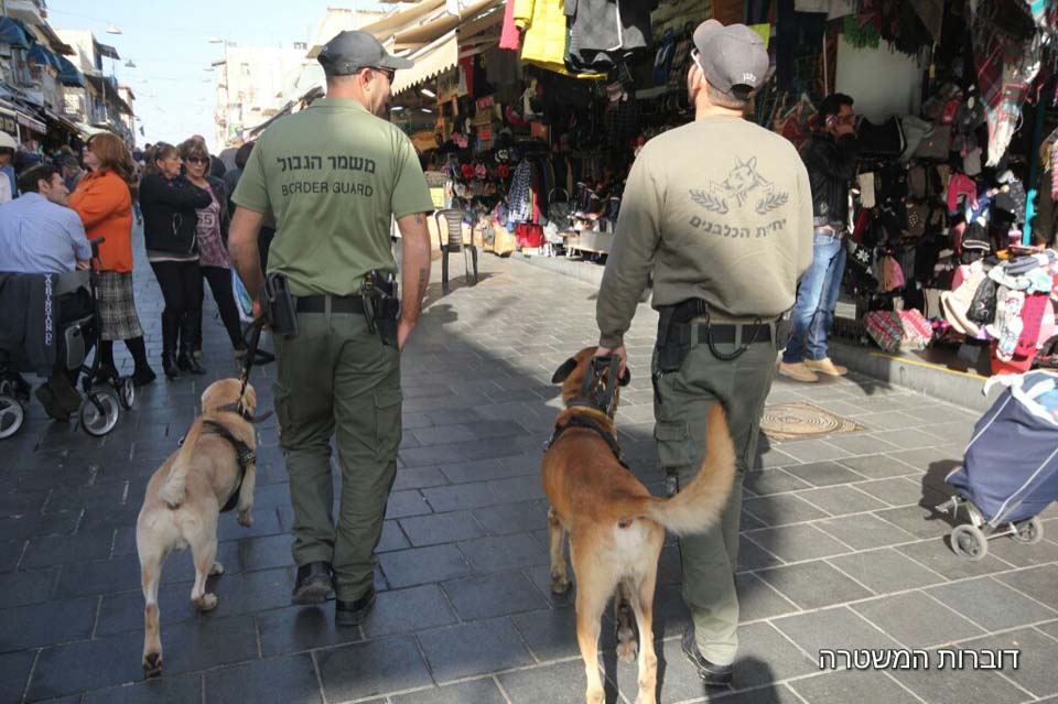 фото: пресс-служба Полиции Израиля