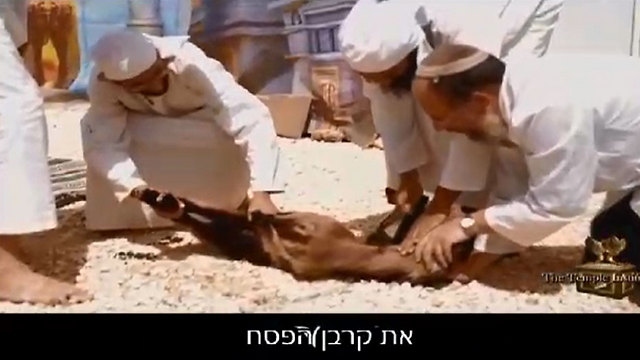 "The Passover Sacrifice" (Photo: Temple Mount Movement)