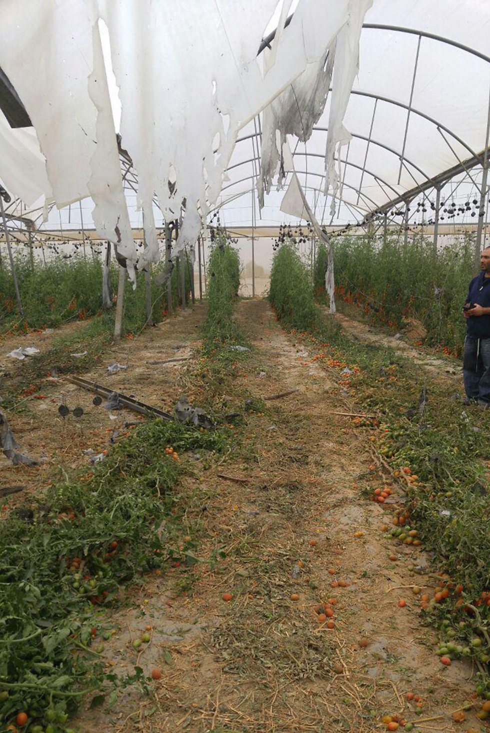 Greenhouse hit by rocket