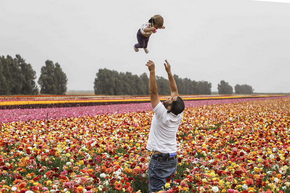 אביב בקיבוץ ניר יצחק, שבגבול רצועת עזה (צילום: AFP) (צילום: AFP)