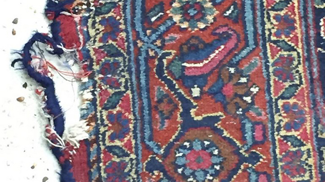 השטיח לפני התיקון (צילום: אלונה מנו) (צילום: אלונה מנו)
