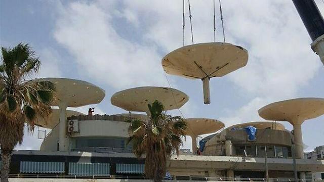 Демонтаж грибов на набережной Тель-Авива