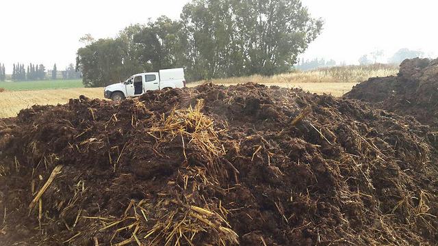 The culprit: Manure on farmland in the Sharon area (Photo: Environmental Protection Ministry)