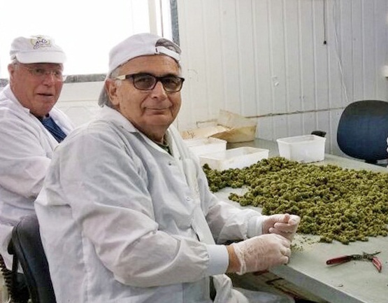 Фото предоставлено "Хават Шейх"