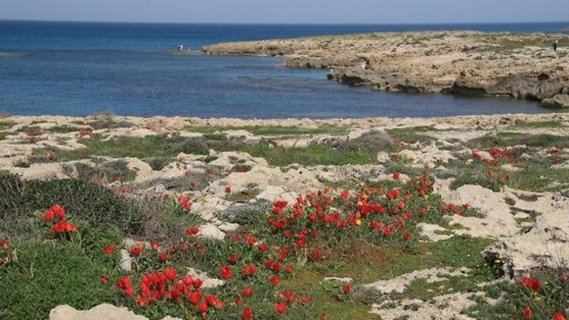 The unspoiled beauty of Habonim beach nature reserve (Photo: Rinat Russo)