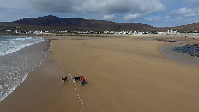 החוף שחזר לחיים. אירלנד, השבוע (צילום: רויטרס) (צילום: רויטרס)