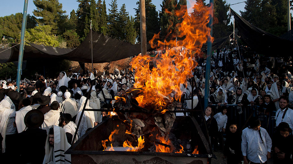 Празднование Лаг ба-омер на горе Мерон. Фото: AP (צילום: AP)