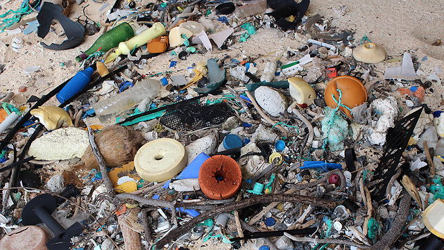 האשפה בחופי האי הנדרסון (צילום: Jennifer Lavers via AP) (צילום: Jennifer Lavers via AP)