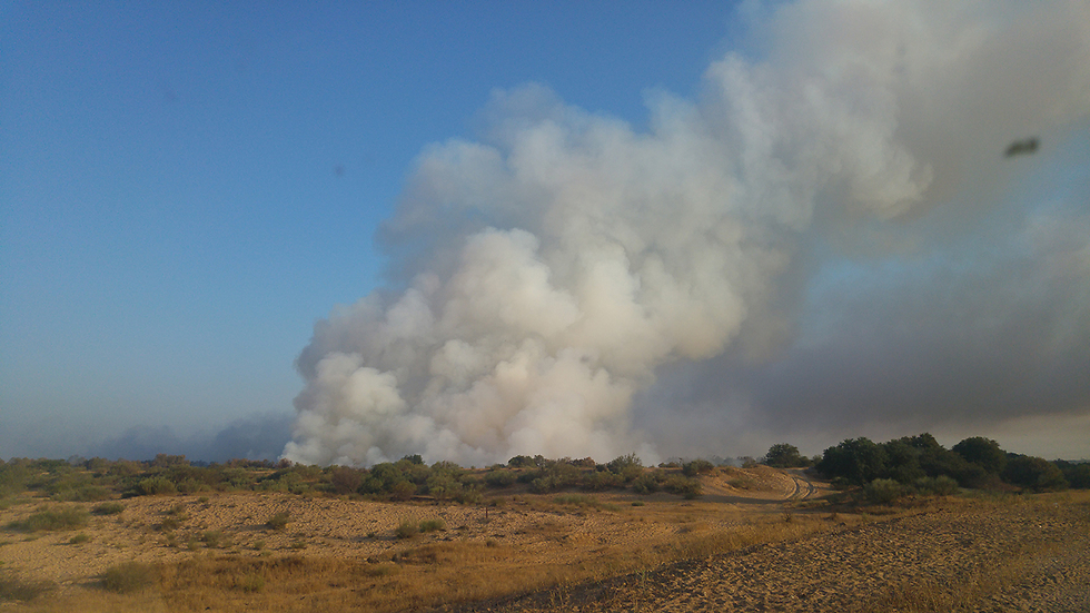 תושבים מתלוננים: מקור הריח מגיע משריפת זבל באשדוד (צילום: עדי בוקאי) (צילום: עדי בוקאי)
