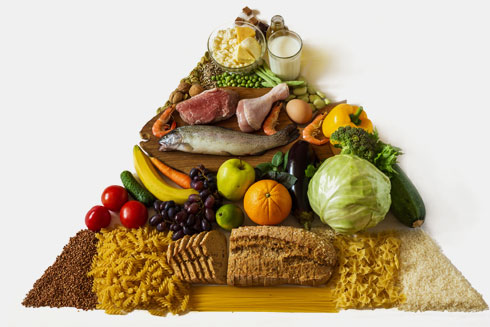 בונים מחדש את פירמידת המזון  (צילום: Shutterstock)