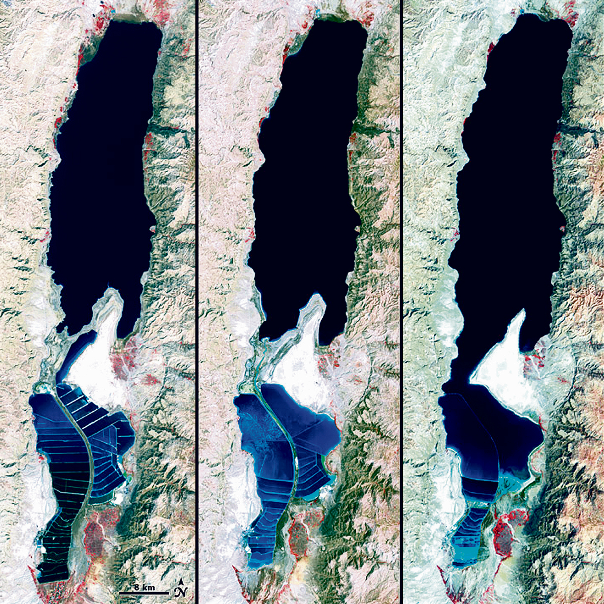 הולך ונעלם. צילומי לוויין של ים המלח, מ־1972 עד 2011