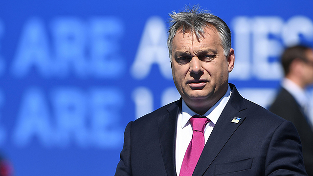 לא רוצה מהגרים בארצו. ראש ממשלת הונגריה ויקטור אורבן (צילום: AFP) (צילום: AFP)