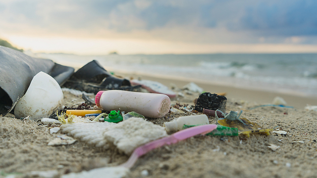 זיהום פלסטיק בחופים (צילום: shutterstock) (צילום: shutterstock)