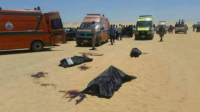 "המחבלים עלו על האוטובוסים והתחילו לירות". גופות הרוגים בפיגוע באל-מניא (צילום: MCT) (צילום: MCT)