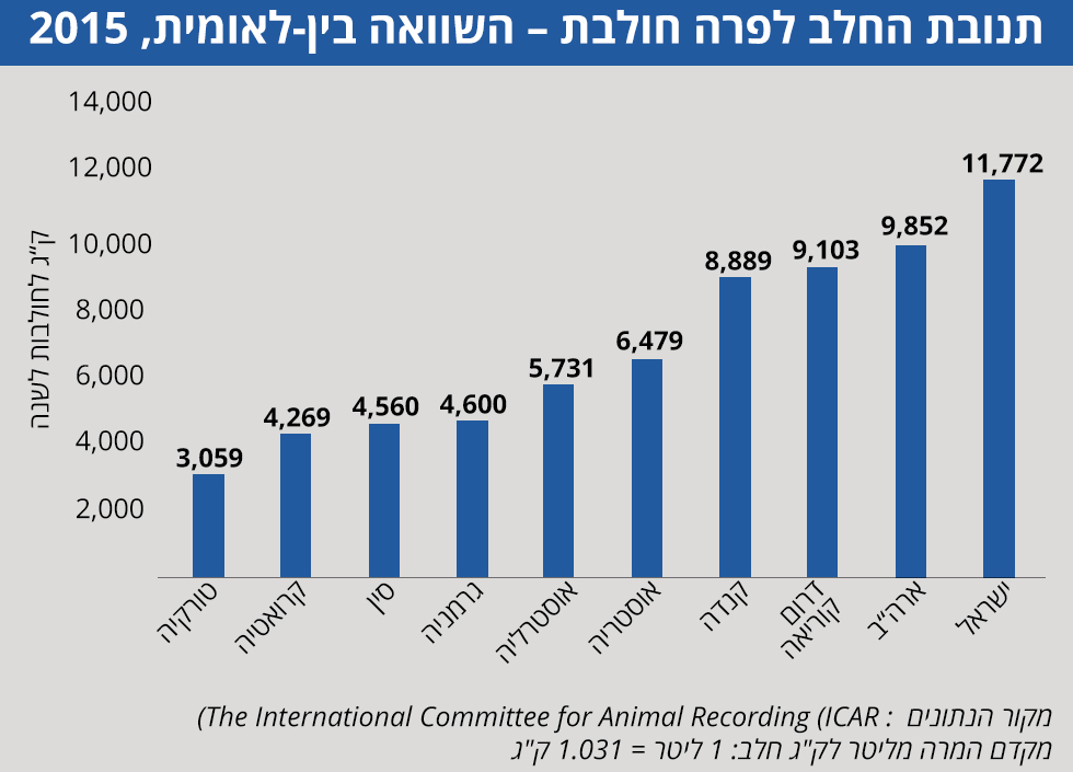 Рост надоев израильских коров - до рекордного уровня в мире