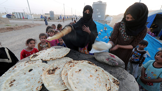 טאבון חגיגי במחנה פליטים בין מוסול לאירביל, עיראק (צילום: AFP) (צילום: AFP)