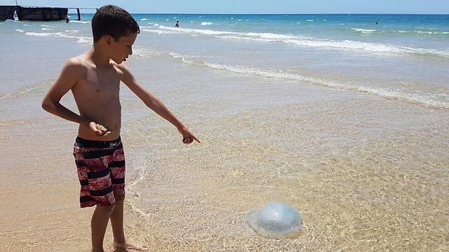 Мальчик и медуза. Фото: Ади Полак (Photo: Adi Pollack)