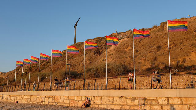 חם לקראת מצעד הגאווה בתל אביב (צילום: EPA) (צילום: EPA)