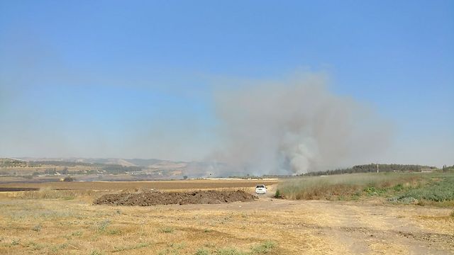 השריפה ליד מושב משמר איילון (צילום: רון ענבל) (צילום: רון ענבל)