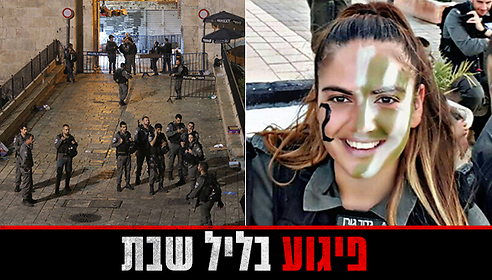 צילום: אלכס קולומויסקי
