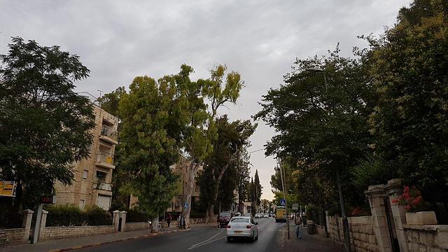 גשם קל בירושלים (צילום: יעל פרידסון) (צילום: יעל פרידסון)