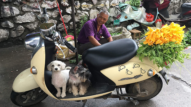 תושב יולין וכלבי המחמד שלו לא הרחק ממקום מכירתם של כלבים לאכילה (צילום: AFP) (צילום: AFP)