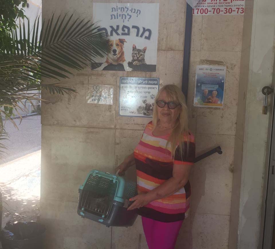 Кошечка уже в ветклинике в Израиле
