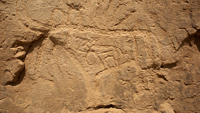 נכתבו לפני יותר מ-5,000 שנה (צילום: אוניברסיטת ייל) (צילום: אוניברסיטת ייל)