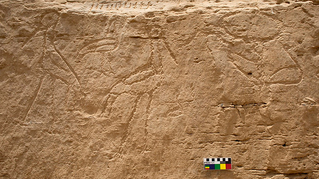 ההירוגליף שהתגלה במצרים (צילום: אוניברסיטת ייל) (צילום: אוניברסיטת ייל)
