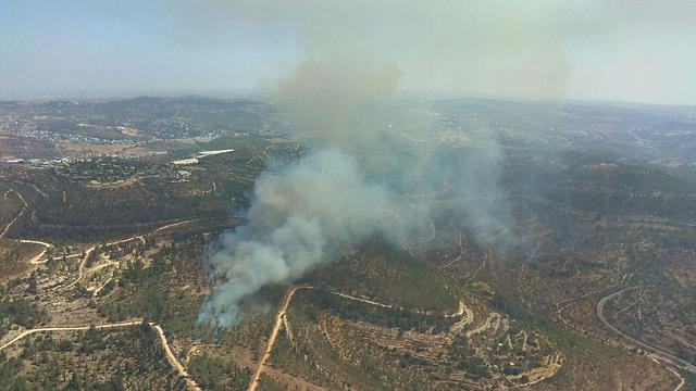 Fire in the Sataf Forest (Photo: Israel Police)