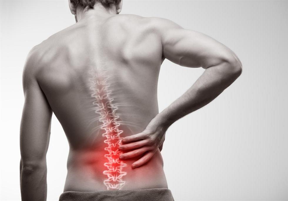 מעכב את מסלול הולכת הכאב בעמוד השדרה. כיווץ איזומטרי ()