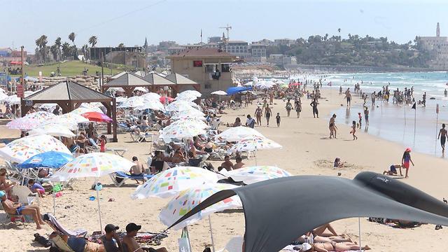 חוף מנטה ריי בתל אביב בשבת הקייצית (צילום: מוטי קמחי) (צילום: מוטי קמחי)