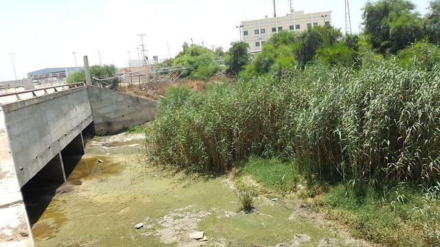 File photo of Gaza wastewater spillover into Israel (Photo: Roee Idan)