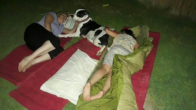 יצאו לישון על הדשא. הלילה בערבה (צילום: יואב רגב) (צילום: יואב רגב)