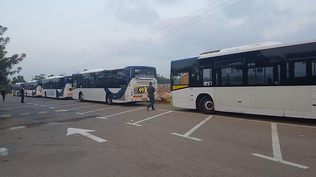 אוטובוסים של חברת קווים שנבדקו באלעד (צילום: דוברות המשטרה) (צילום: דוברות המשטרה)