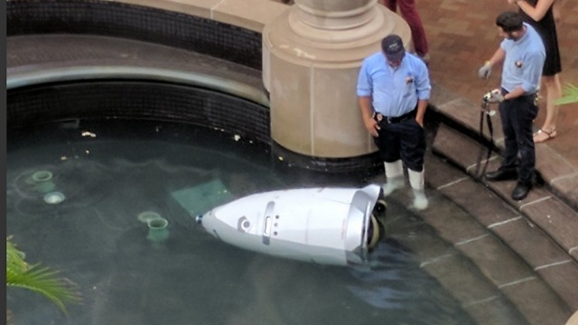 רובוט האבטחה שהתאבד בוושינגטון, בשבוע שעבר (צילום מסך) (צילום מסך)