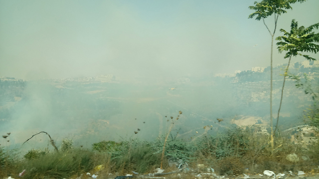 השריפה בירושלים, היום (צילום: ניצן וינטראוב ) (צילום: ניצן וינטראוב )