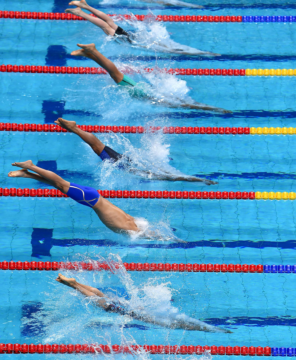 שחיינים במוקדמות ה-100 מטר חופשי (צילום: getty images) (צילום: getty images)