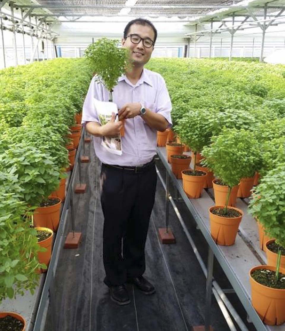Японский покупатель со своим израильским растением. Фото: "Хиштиль"